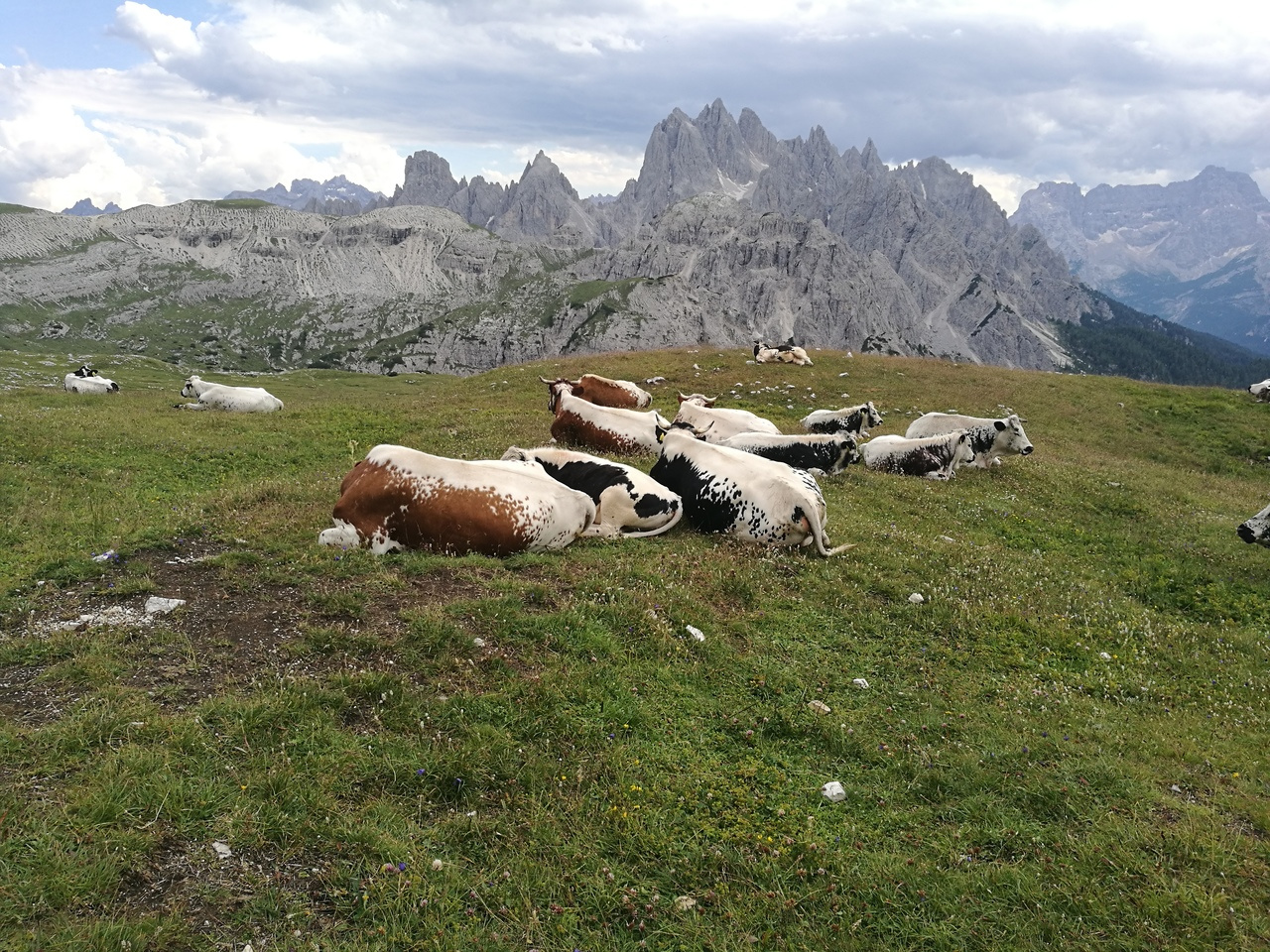 Increasing impacts of land use on biodiversity and carbon sequestration driven by population and economic growth