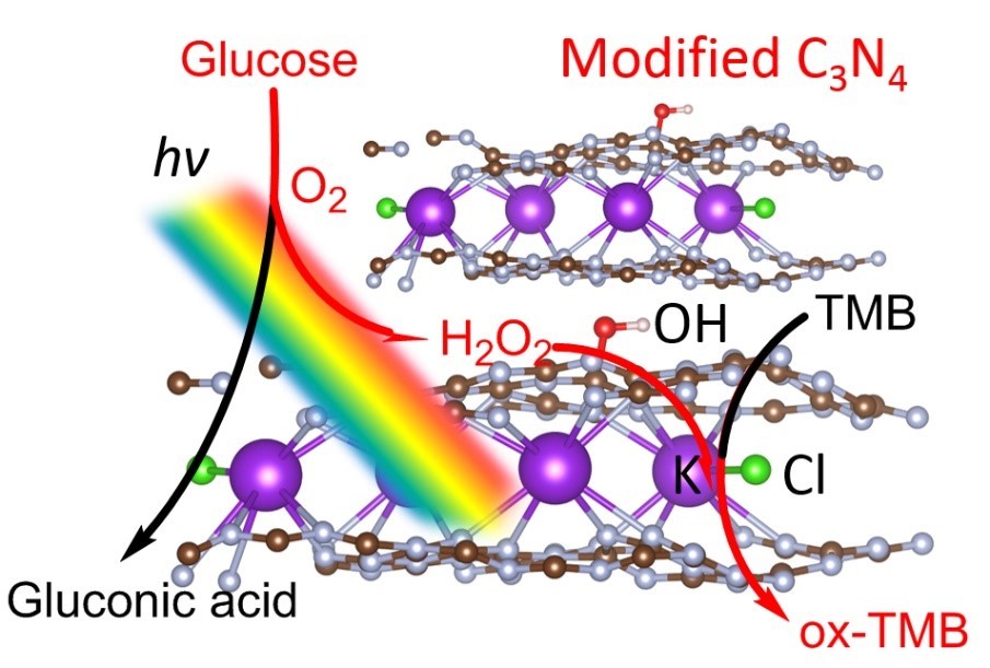 Modified carbon nitride nanozyme as bifunctional glucose oxidase-peroxidase for metal-free bioinspired cascade photocatalysis