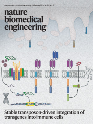 Stable transposon-driven integration of transgenes into immune cells