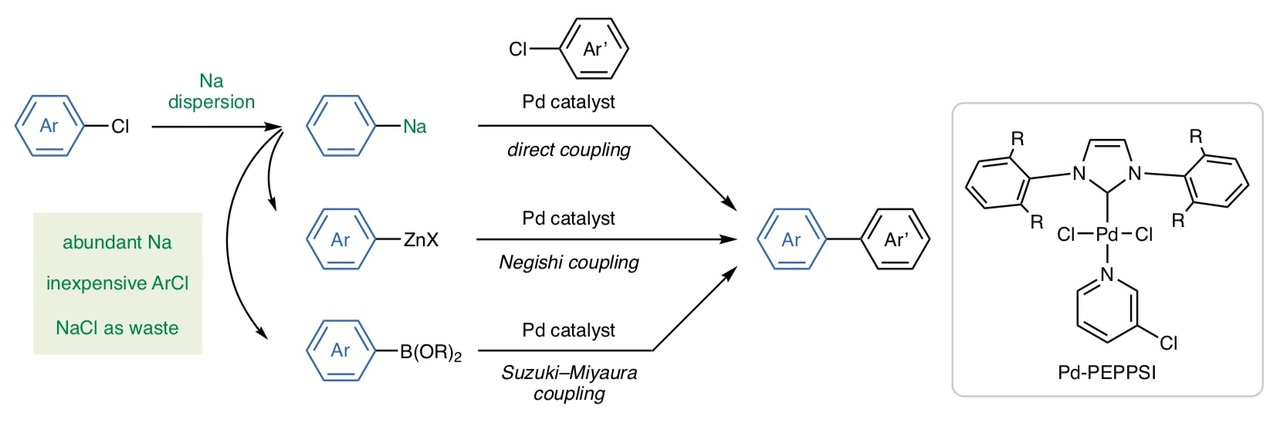 Organosodium Compounds for Catalytic Cross-Coupling