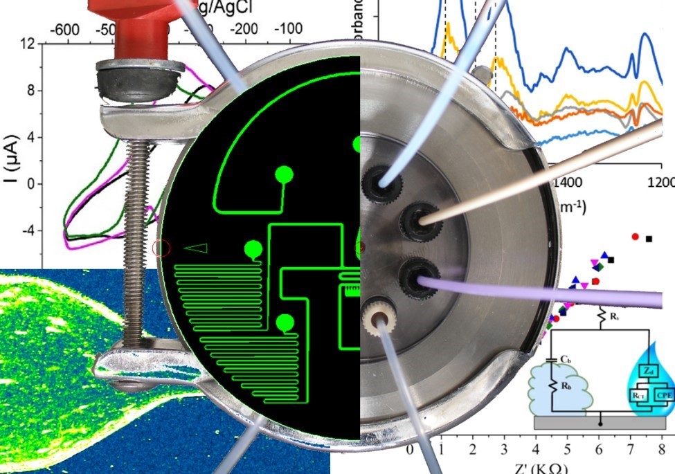 Microfluidics for bottom up studies of biofilms and bubbles
