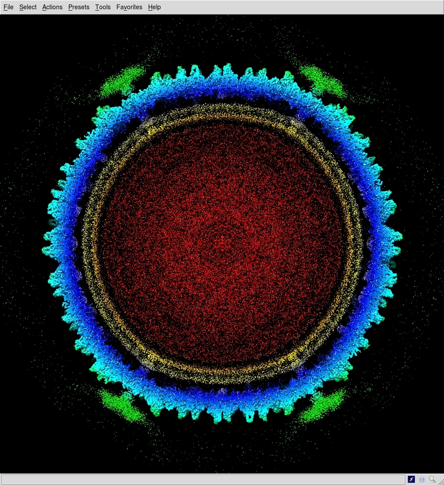 Cryo-EM elucidates the assembly of novel viruses