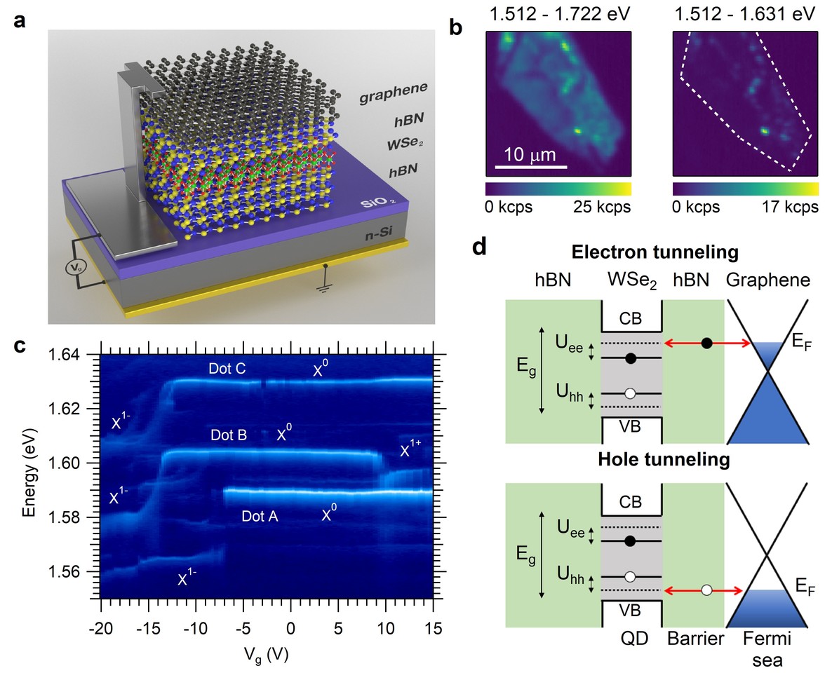 Coulomb blockade in an atomically thin quantum dot coupled to a tunable Fermi reservoir