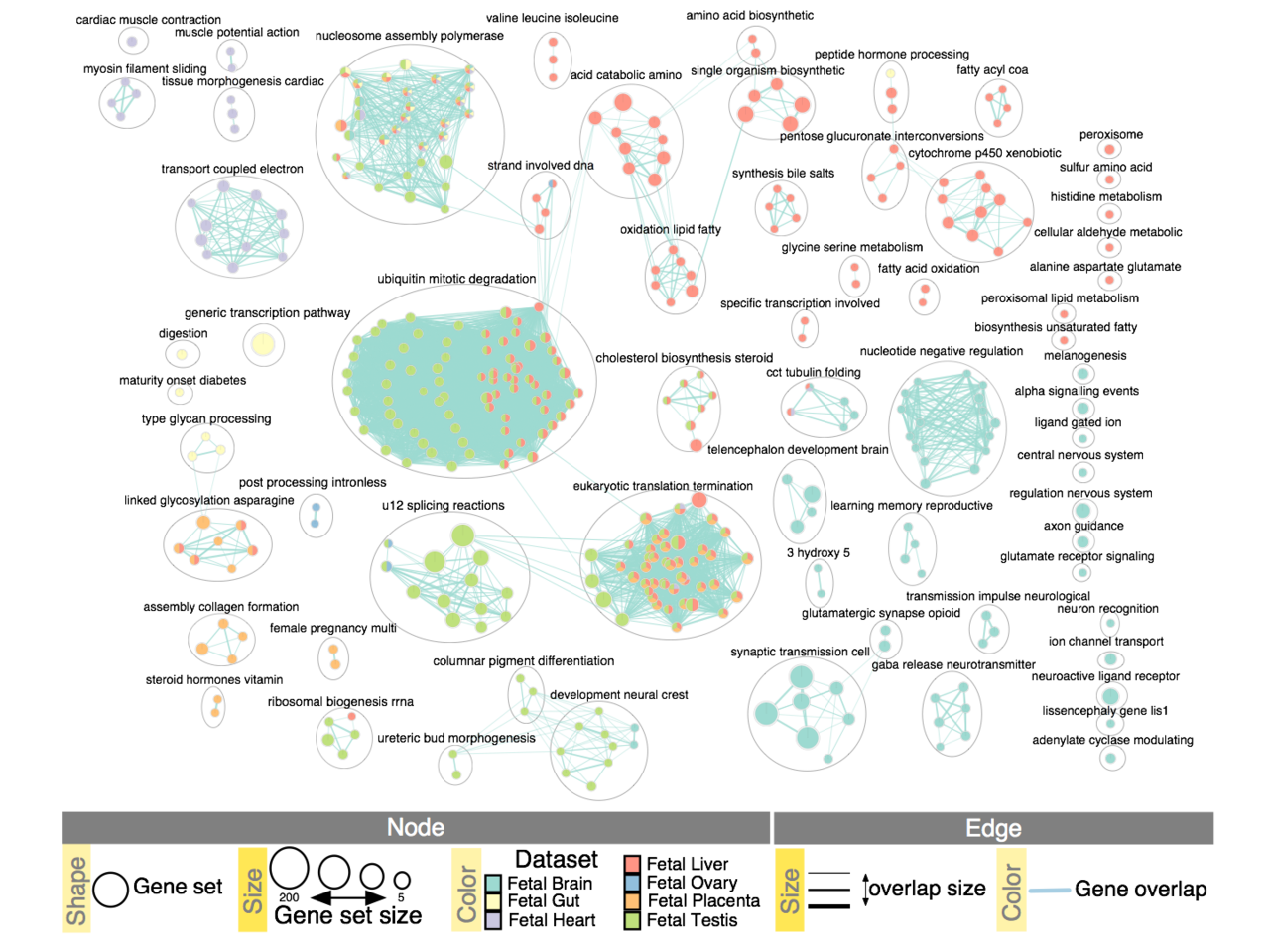 Pathway Analysis of Genomics Data using Cytoscape, g:Profiler, GSEA and Enrichment Map