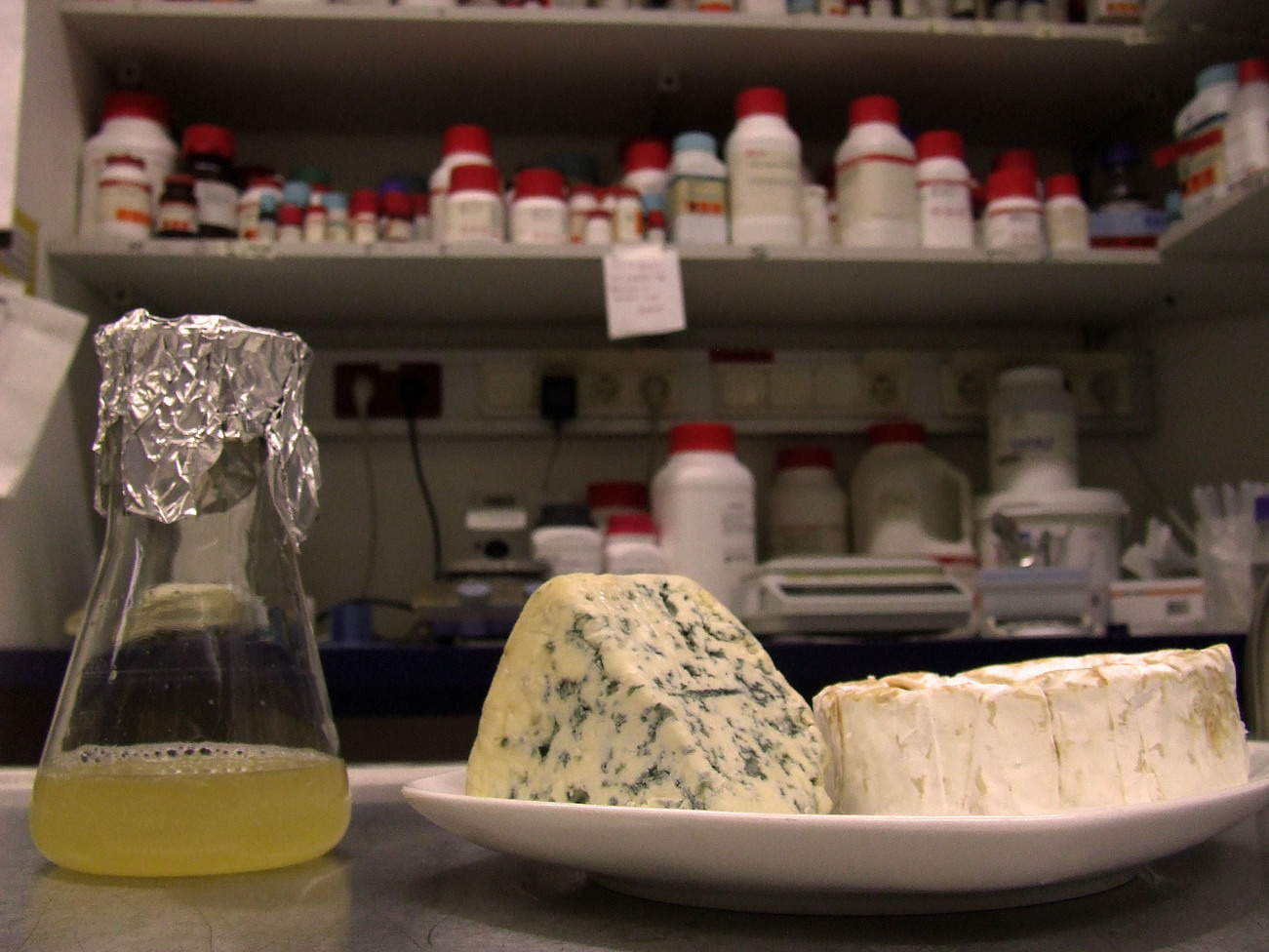 Nosing out a degradation signal