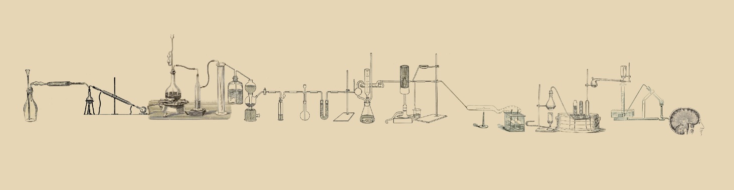 Optical… Schmoptical, the rise of the Tsieneneration X