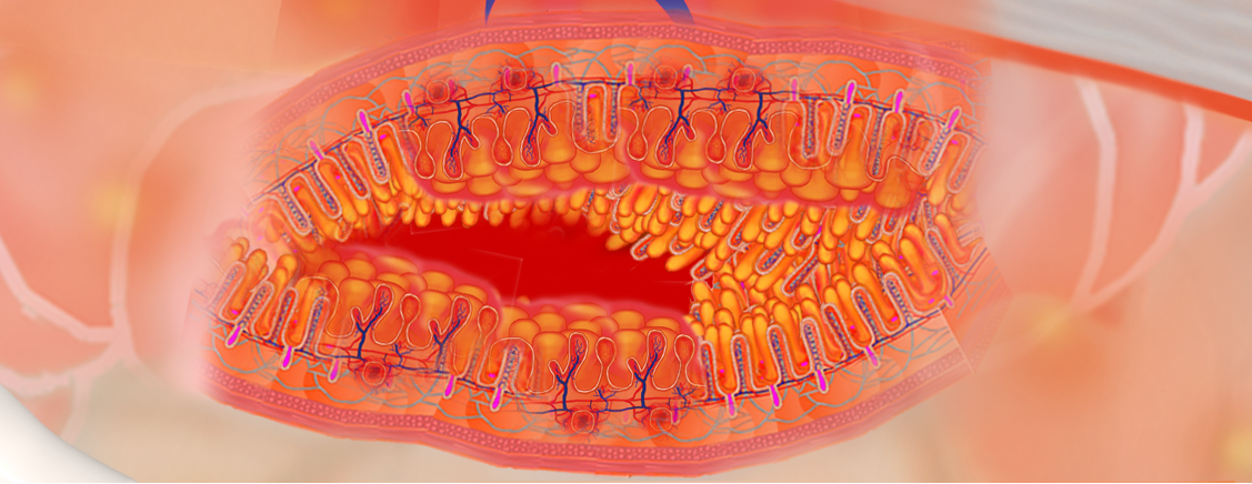 Non-invasive diagnostic imaging in Crohn’s disease