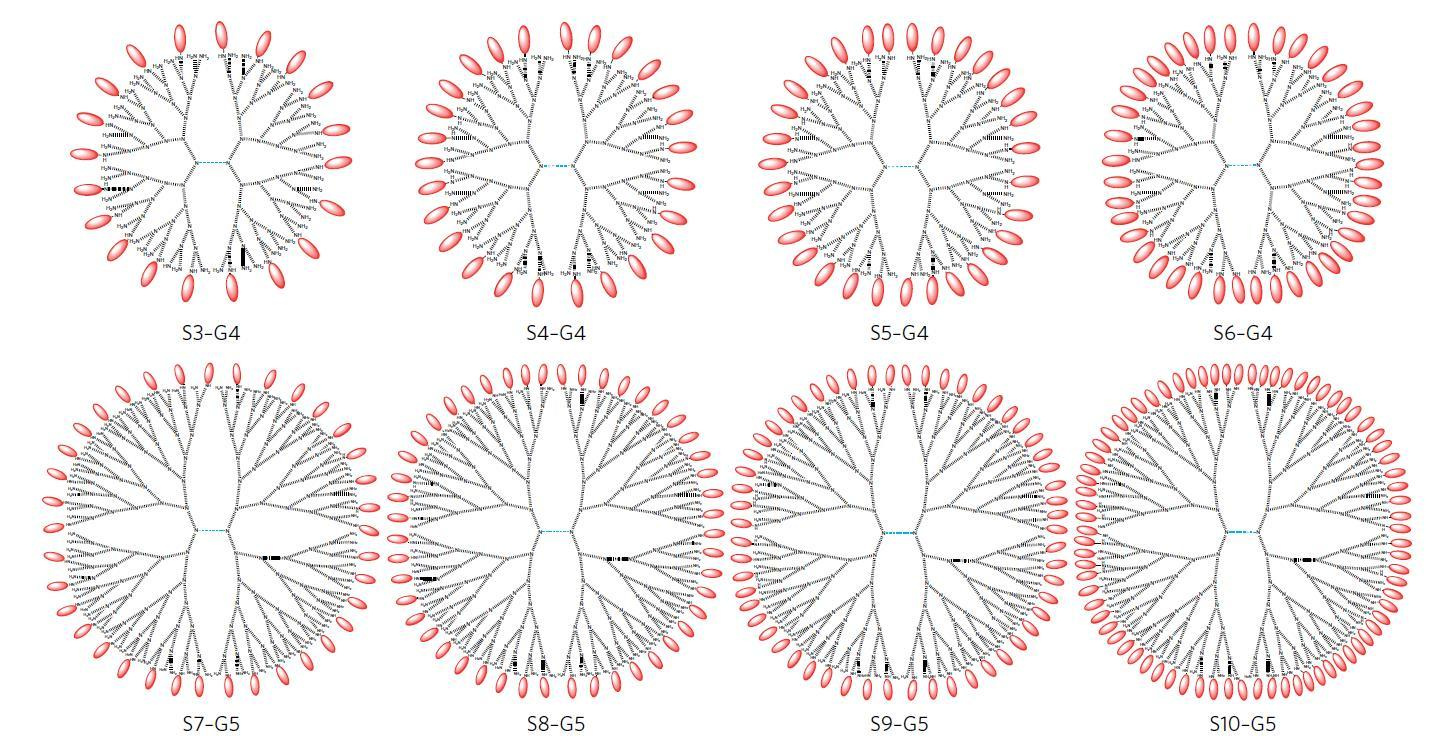Crowded dendrimers are worse inhibitors