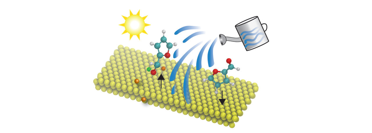 To water, or not to water: that is the question