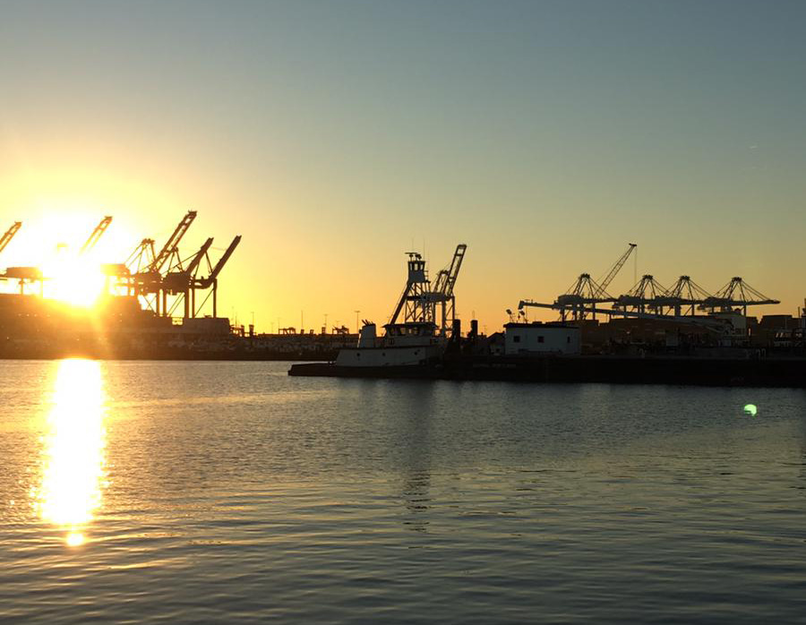 Viruses hit the SPOT