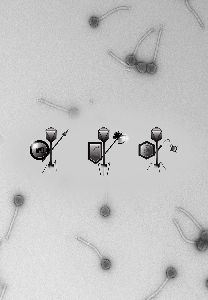 Microbial military strategy: The art of defense and counter-defense.