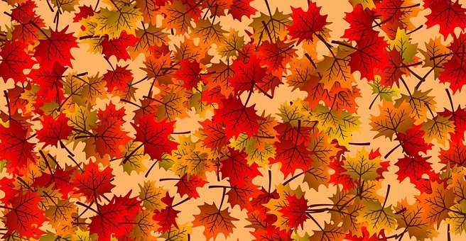 Quality in peer review