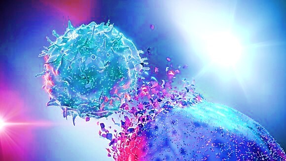 Bioengineering innate immune cells