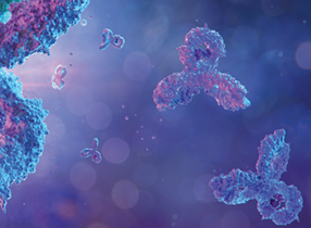 Investigating the underlying molecular mechanisms of Fc receptors for immune engineering