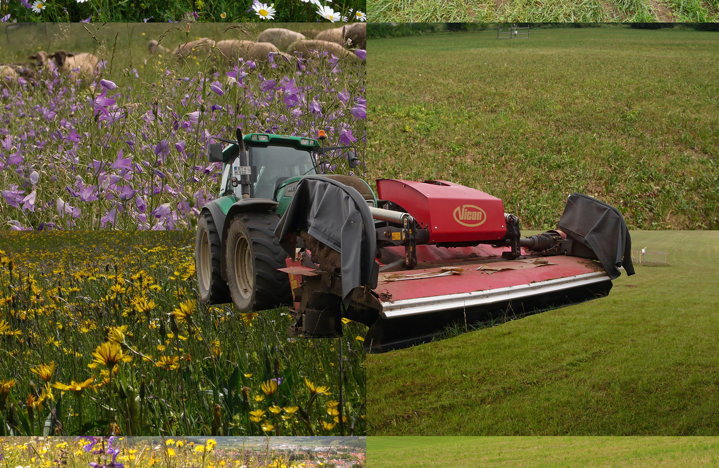 Intensification of Land Use Leads to the Same Species Everywhere