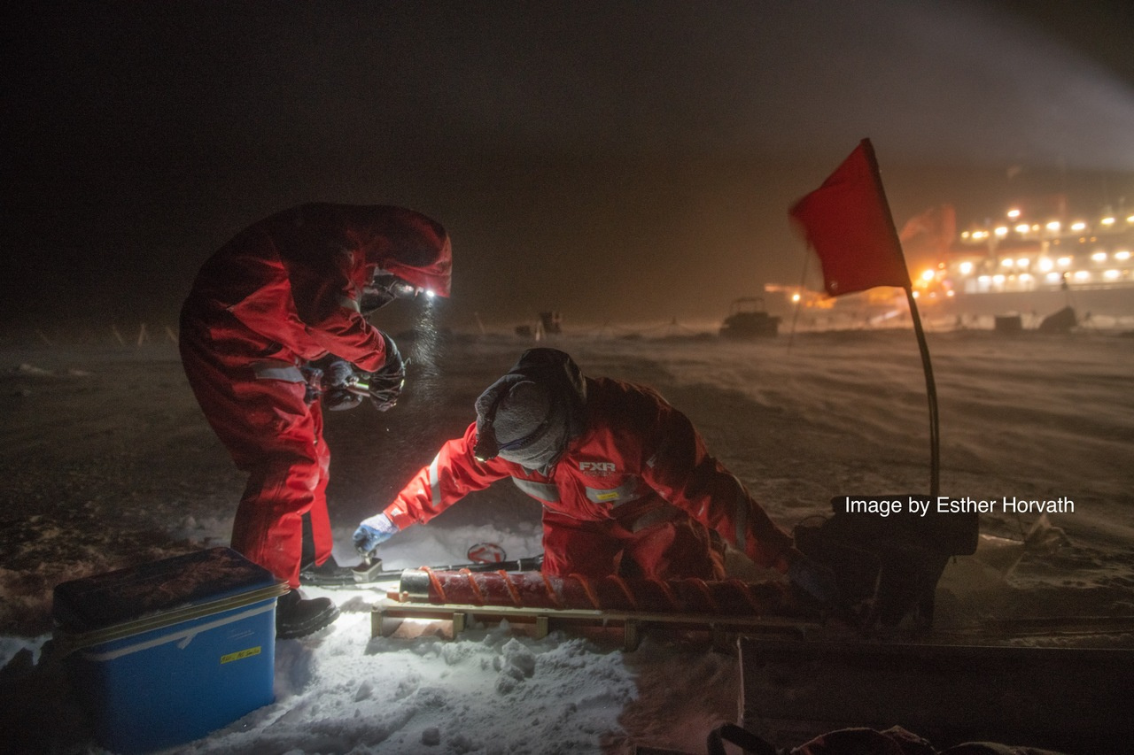 From the MOSAiC sea-ice drift: Genome-resolved Metagenomics of the central Arctic Ocean 