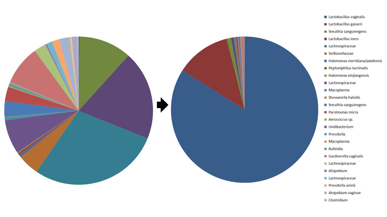 What comparative genomics taught us about the vaginal commensal Lactobacillus crispatus