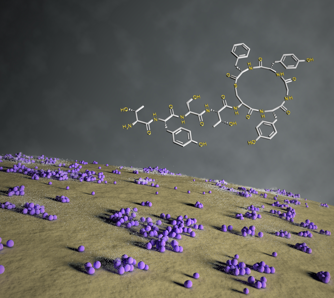 Identifying signaling molecules from Gram-positive bacteria