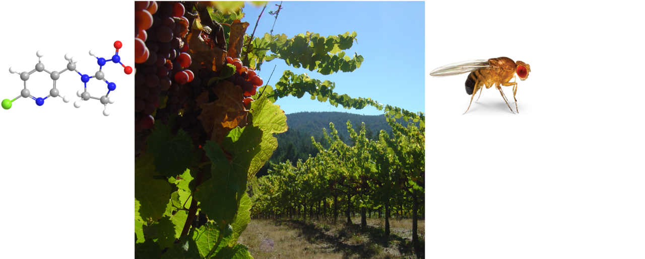 In the search of climate adaptation cost on insecticide resistance