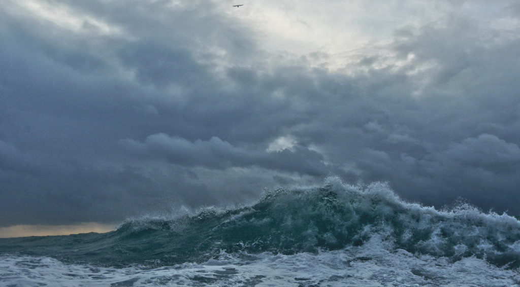 Evolved phytoplankton on probation 