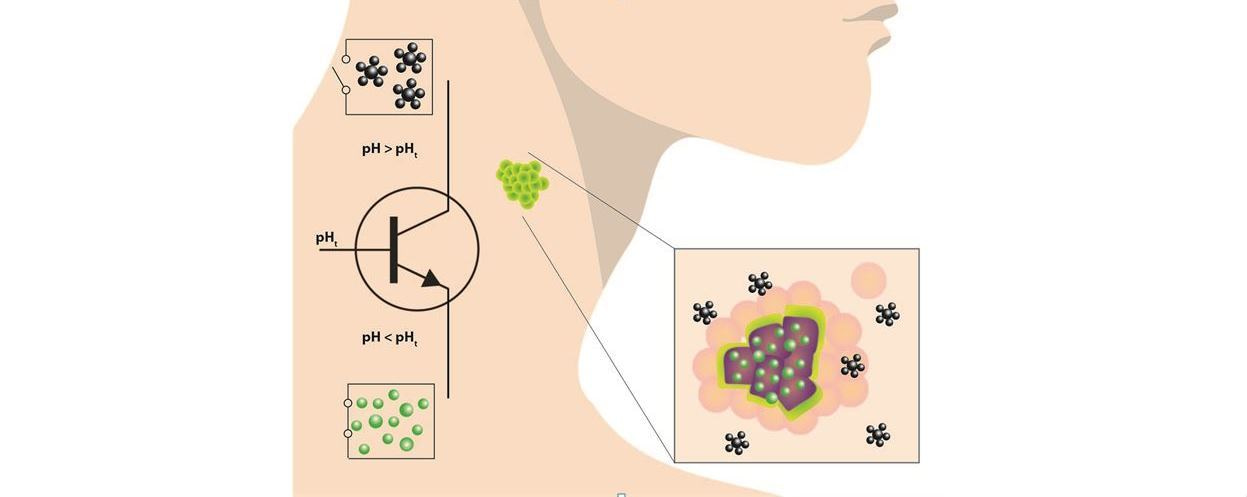 A transistor-like pH nanoprobe for image-guided tumour surgery