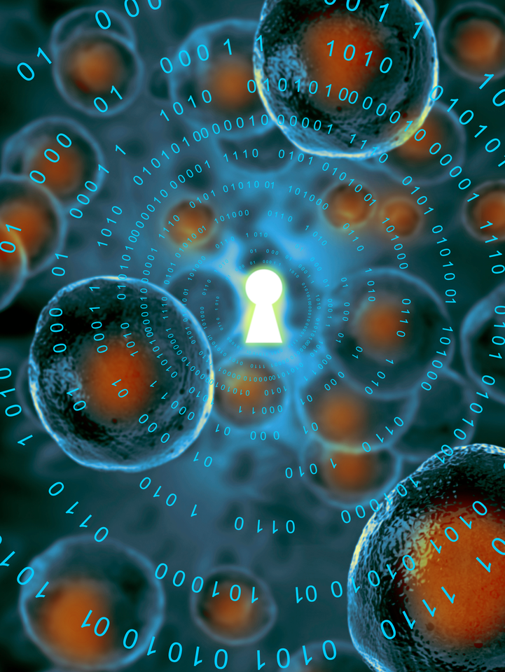 Biological Physically Unclonable Function 