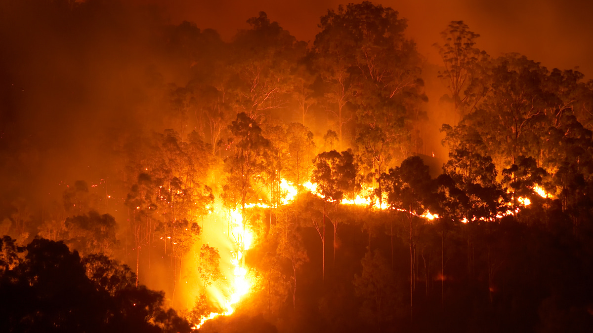 Editor's choice collection: Wildfires