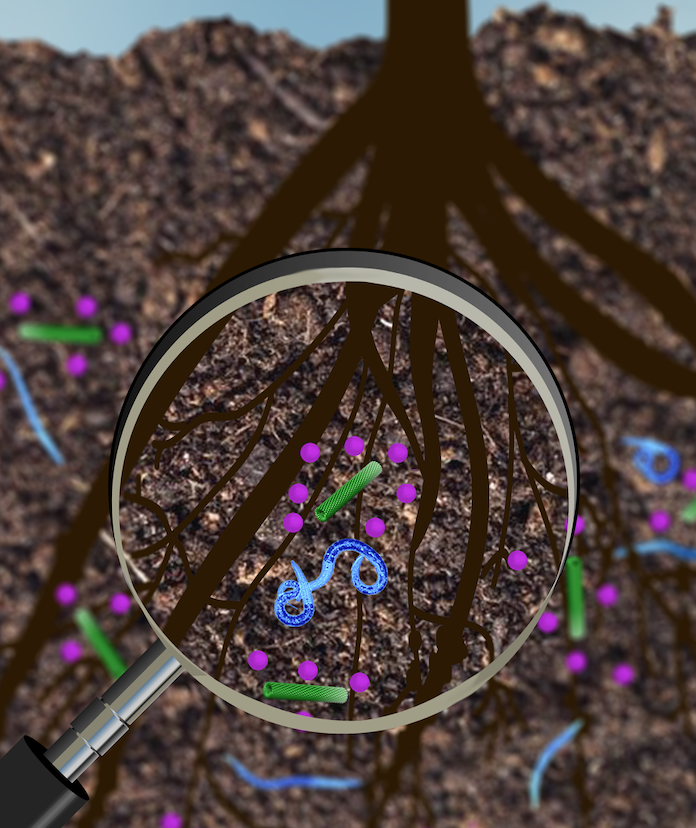 Precision farming goes viral