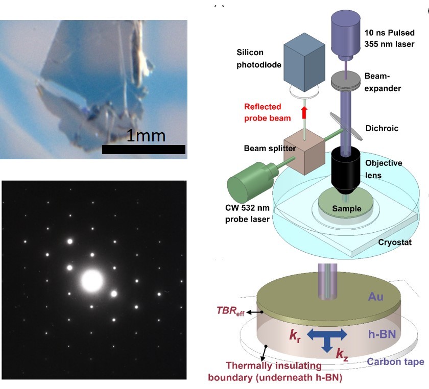 Modulating the thermal conductivity in hexagonal boron nitride via controlled boron isotope concentration
