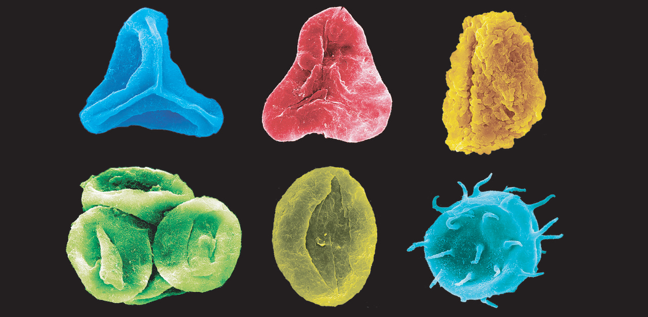 Global warming caused major environmental changes on land during the Jurassic