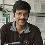 Go to the profile of Govind Kaigala