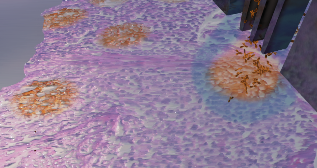 Reimagining immunohistochemistry: from looking at to seeing stains