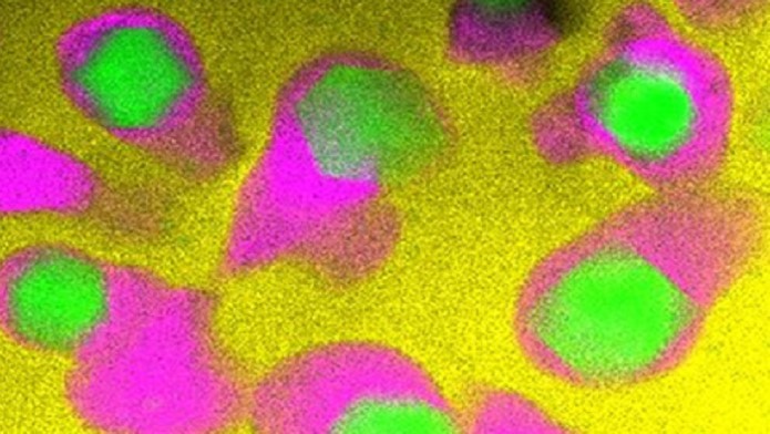 Copper-containing glass ceramic with high antimicrobial efficacy