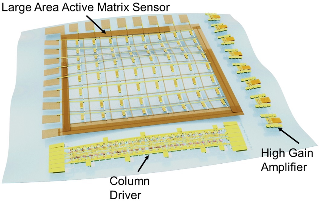 Carbon nanotubes for flexible hybrid electronics
