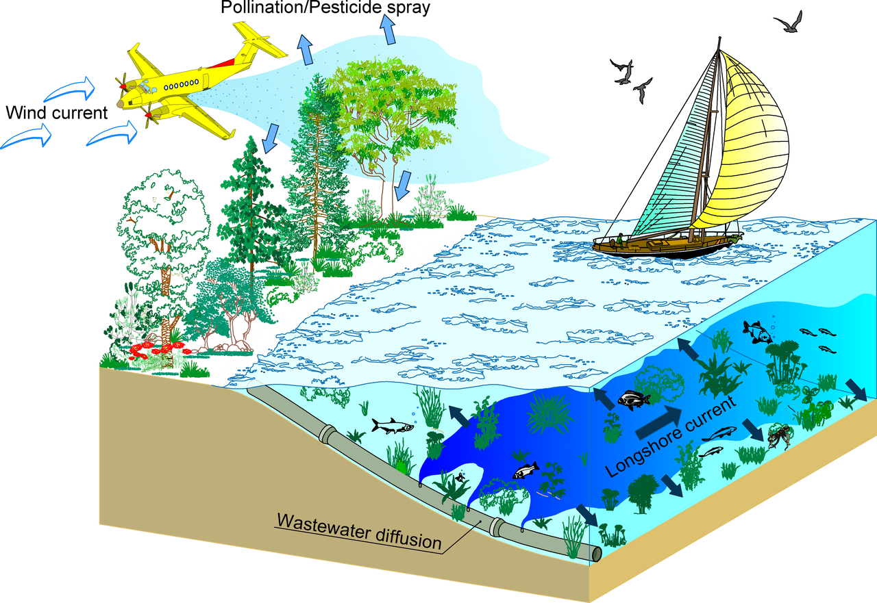 Rethinking the process of detrainment: jets in obstructed natural flows