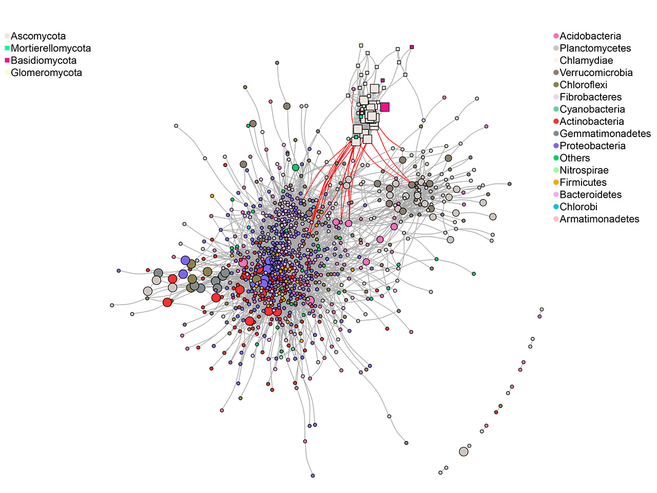 Towards unravelling the mechanisms of “clever” plant roots designing resilient microbiomes  
