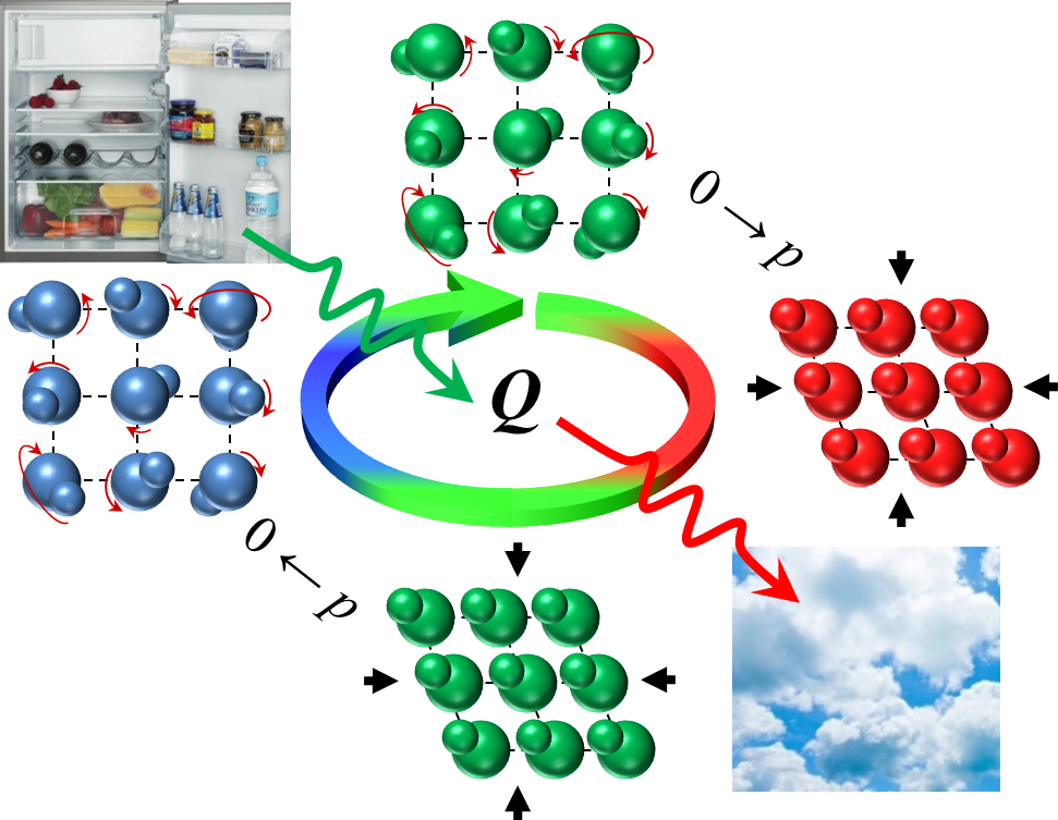 Colossal barocaloric effects near room temperature in plastic crystals of neopentylglycol