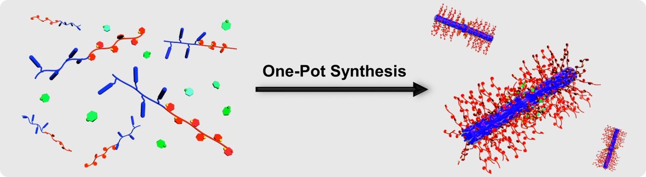 One-Pot Universal Initiation-Growth Methods from A Liquid Crystalline Block Copolymer