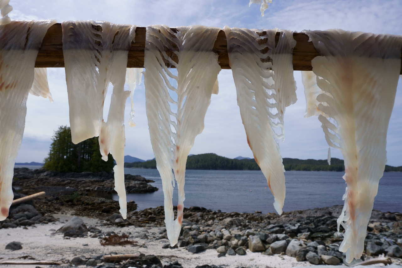 Well-being outcomes of marine protected areas