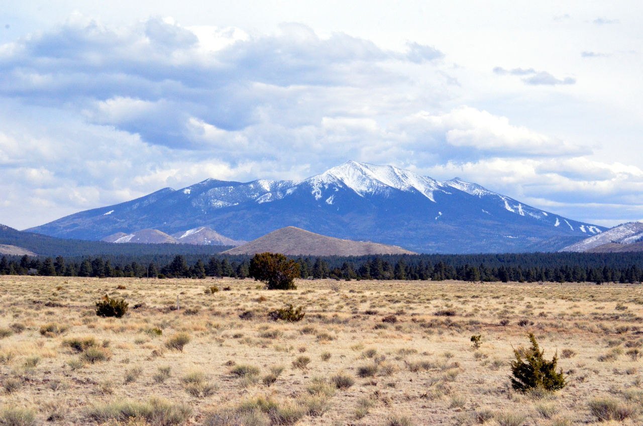 A Mountain of Discoveries in Biodiversity 