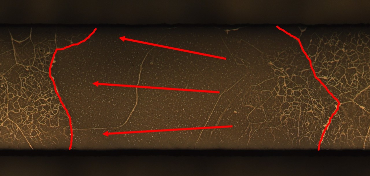 Promoting abnormal grain growth in Fe-based shape memory alloys through compositional adjustments