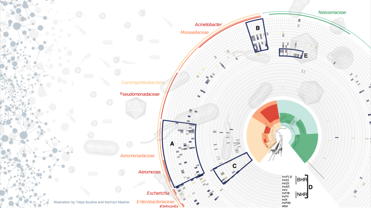 Profiling the natural context of antibiotic resistance in microbial communities.