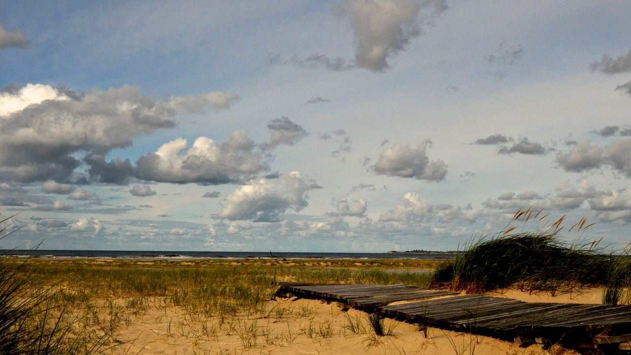 After the Paper | Games changed by orthotopic TCR replacement