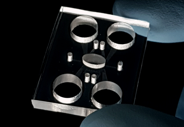 Novel monolithic organ-on-a-chip fabrication by digital successive laser pyrolysis of PDMS