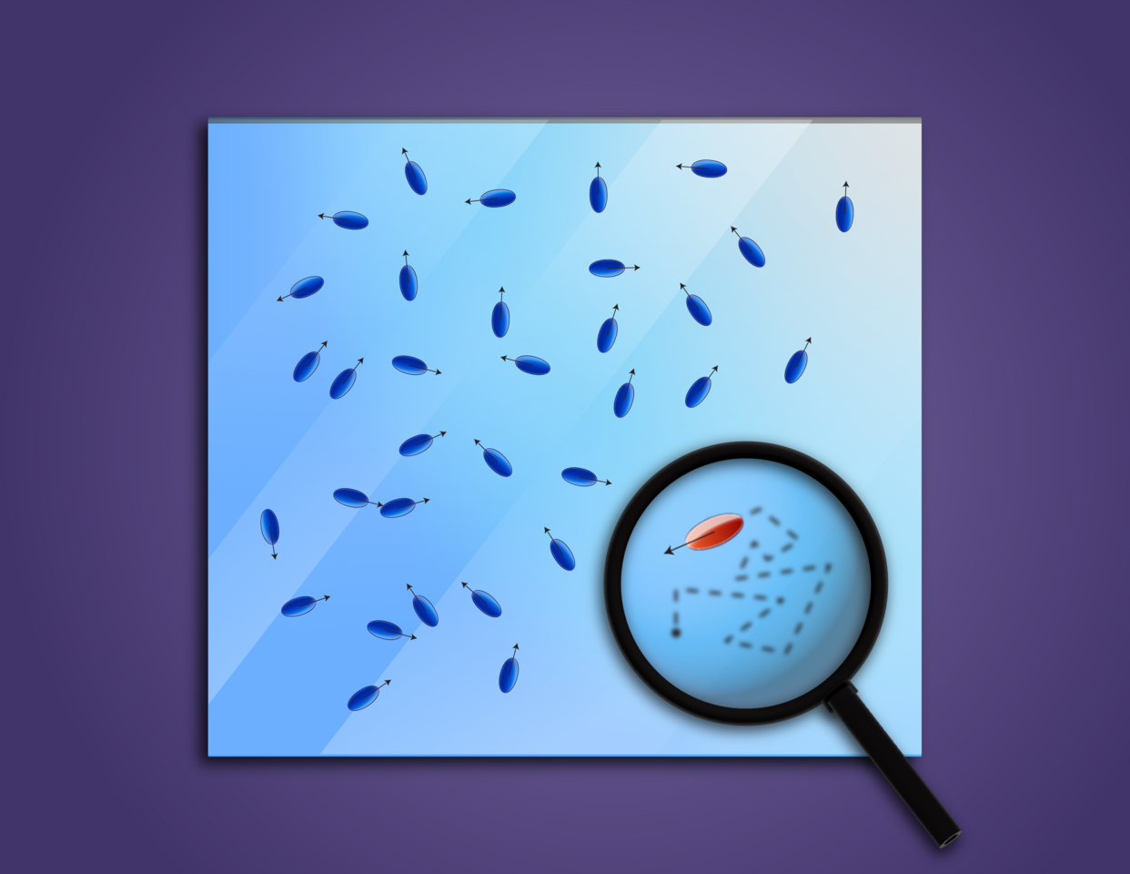 Counting the number of units in a collective from the motion of one