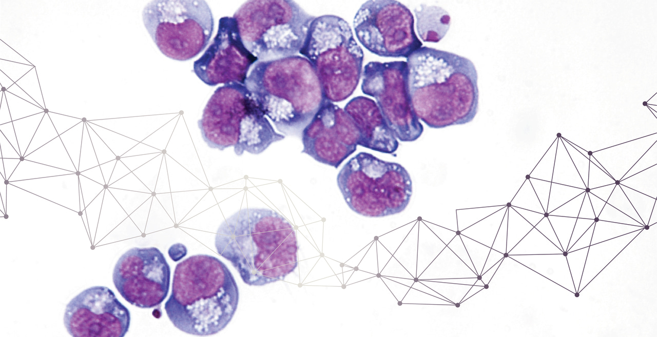 Modeling stem cell fate dynamics