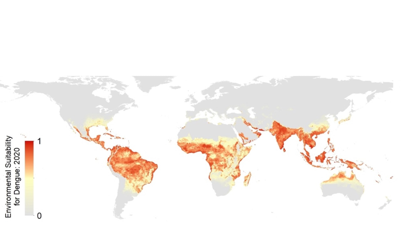 The spread of dengue in a changing world