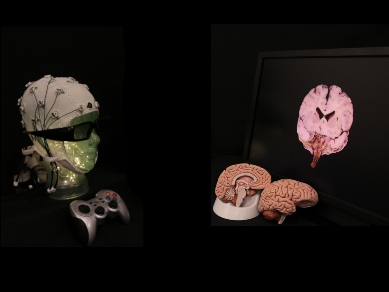 Different Dimensions of Learning: Measuring Brain Activity in Virtual Environments