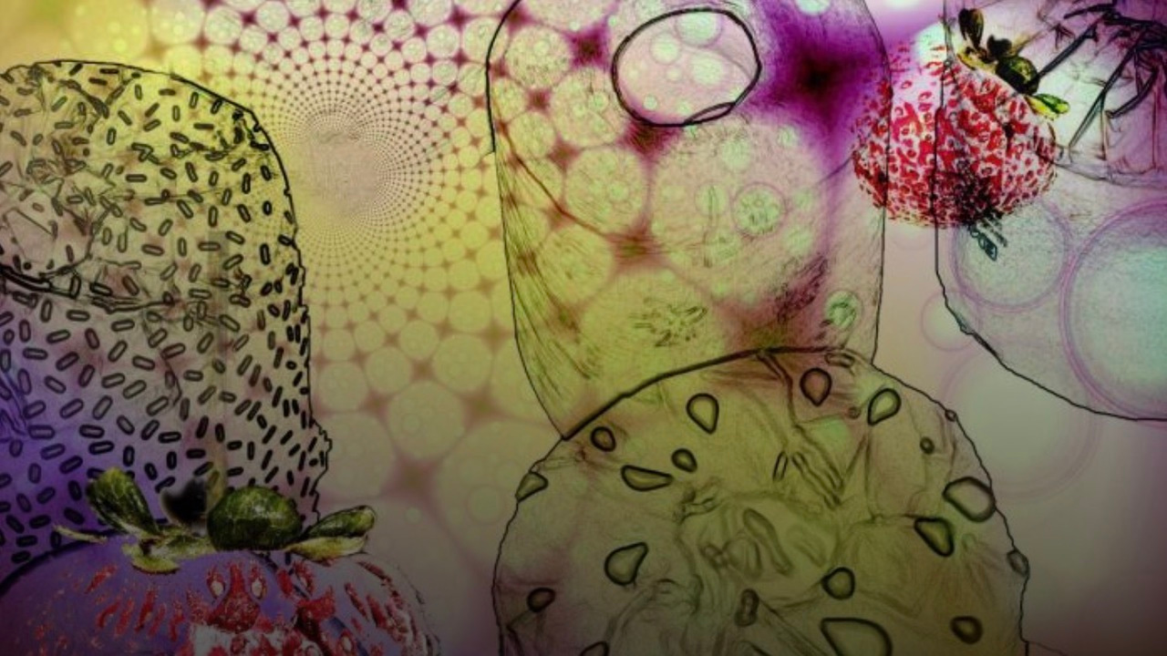 Contagious behaviour