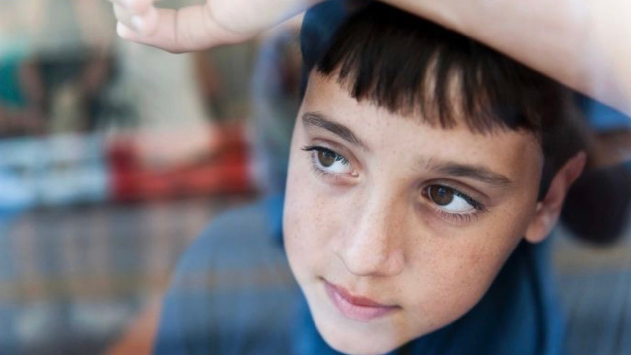 Childhood trauma and the brain